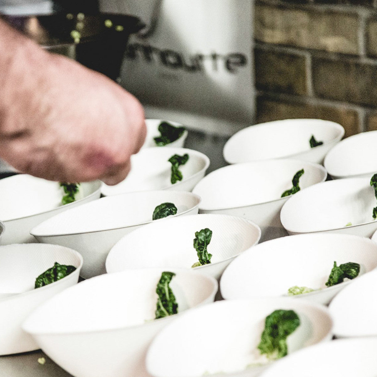 Natural Tableware Sucadrops Bowl 75pk