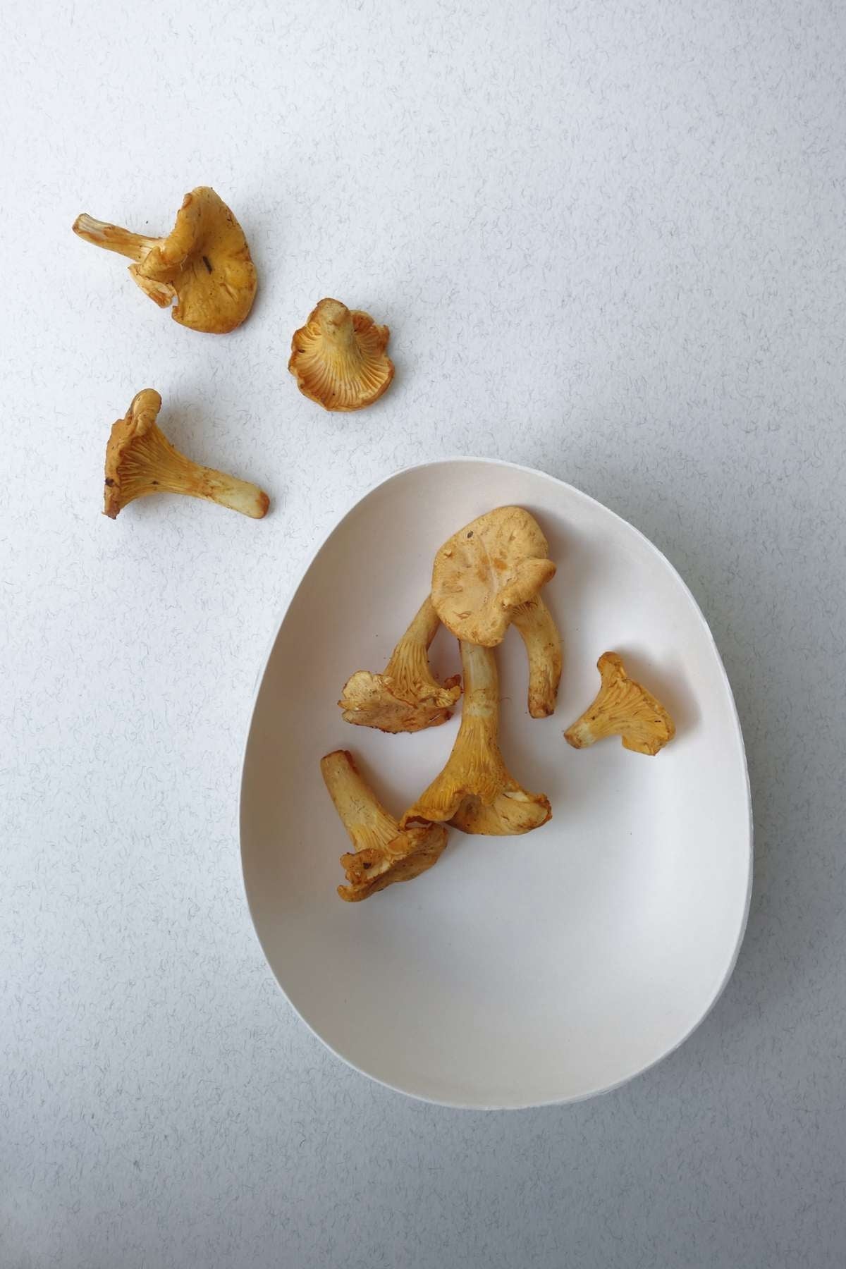 Bagastro Organic Plate 15cm 40pk
