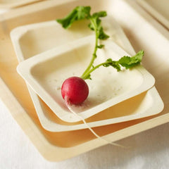 Green Bean Wooden Plate Rectangular 50pk
