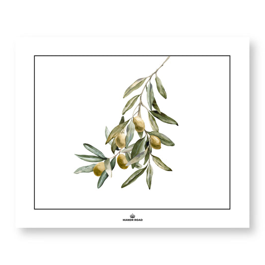 Manor Road Wild Olives Paper Placemat Pad